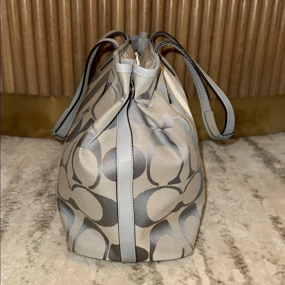 COACH Hamptons Weekend Signature Stripe Medium Tote Gray/silver